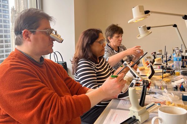 Students practice their composite bonding skills hands on at Cosmedent's Center for Esthetic Excellence in Chicago